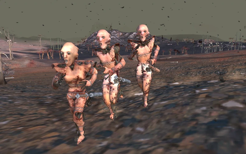 A Skin Bandit squad