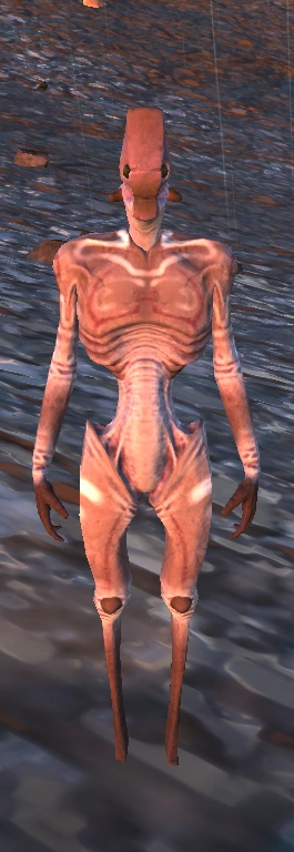 A Southern Hive worker drone